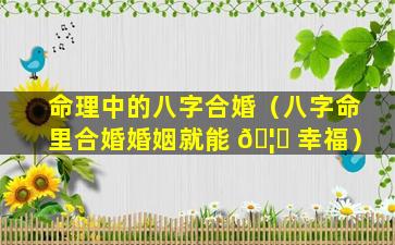 命理中的八字合婚（八字命里合婚婚姻就能 🦅 幸福）